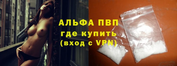 прущие грибы Липки