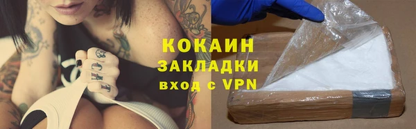 прущие грибы Липки