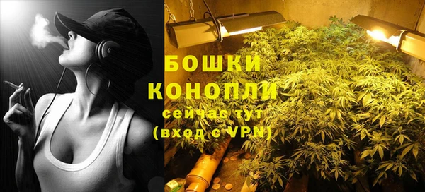 прущие грибы Липки