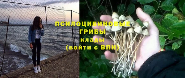 spice Лихославль