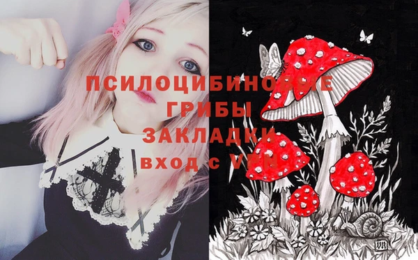 spice Лихославль