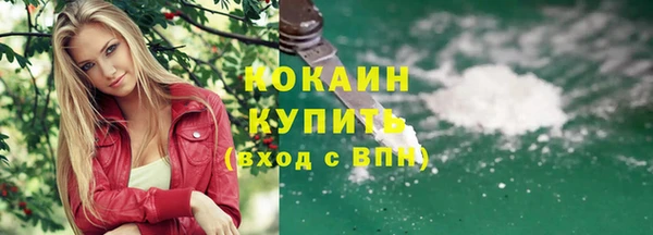 прущие грибы Липки
